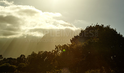 Buy stock photo Sunset, silhouette and outdoor as countryside, landscape and discovery for texture or wallpaper. Background, nature and forest in hills for tourism, travel adventure or holiday destination in Morocco