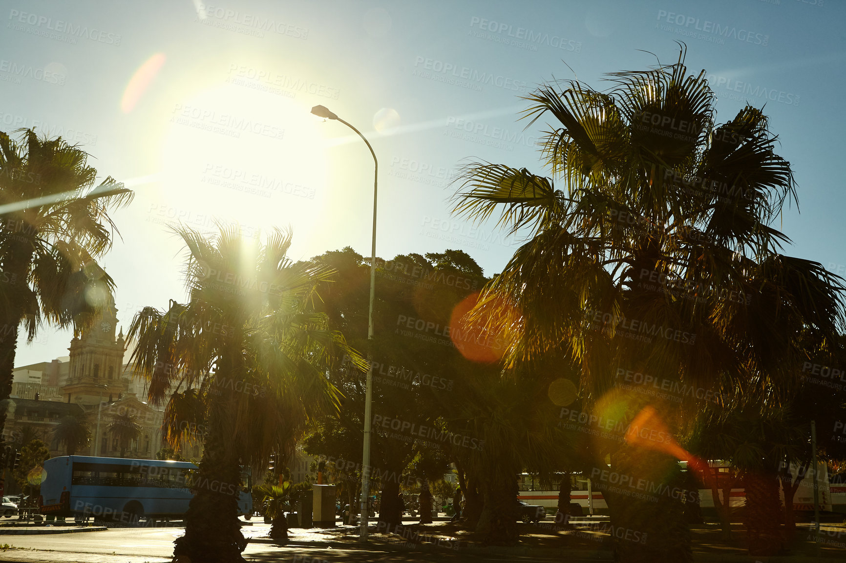 Buy stock photo Outdoor, sky and urban with palm trees in summer, infrastructure and architecture with building. Sunshine, nature and bus by scenery view for travel journey, adventure and destination in America