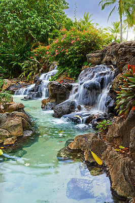 Buy stock photo Trees, rivers and small waterfalls of the rainforest - Hawaii, USA