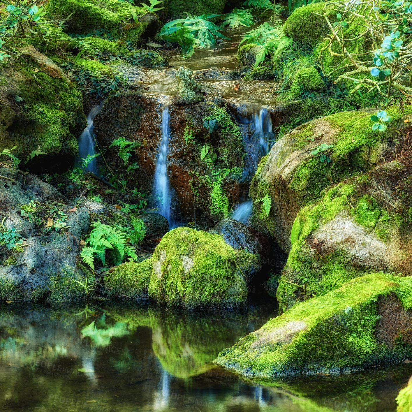 Buy stock photo Trees, rivers and small waterfalls of the rainforest - Hawaii, USA