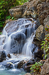 Small waterfalls and rivers in the jungle