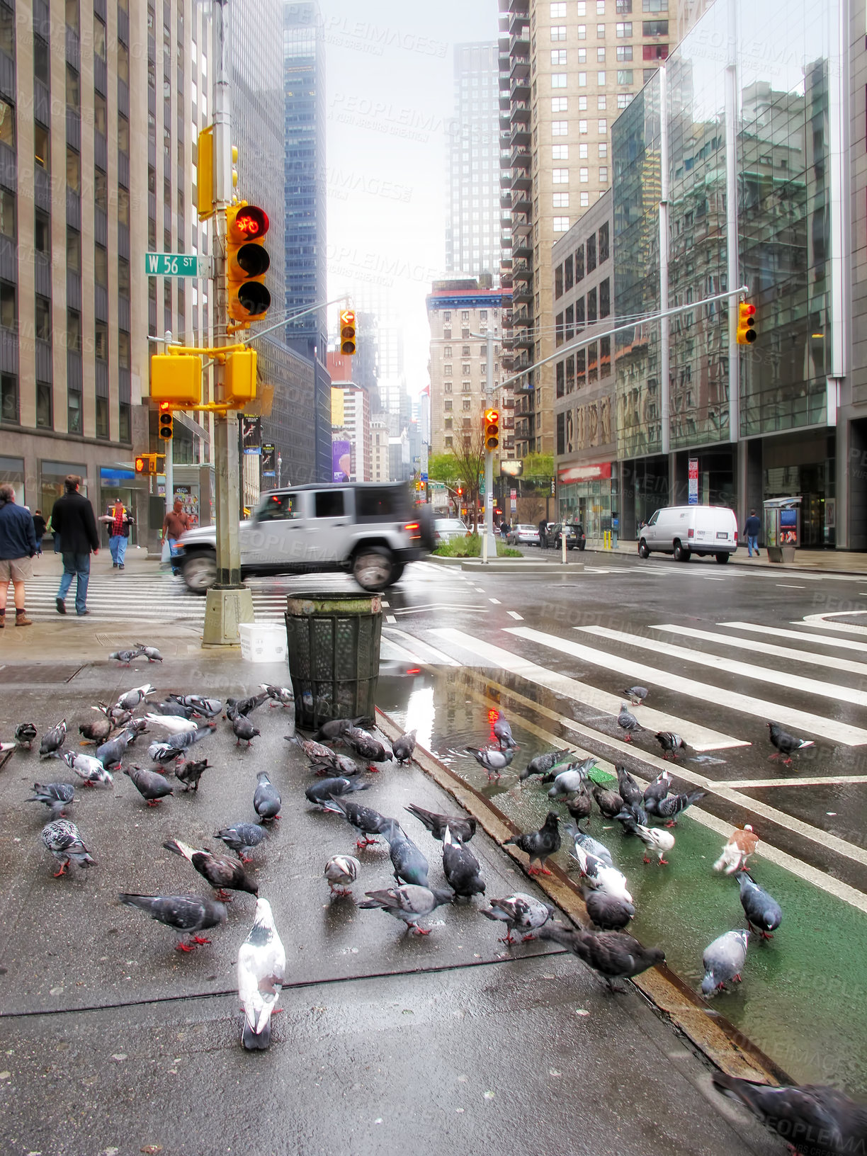 Buy stock photo Urban city, trash and birds with road at traffic lights with litter, garbage and filth with cars. Waste management, socio economic and environment for reduce or recycle in Manhattan New York for dirt