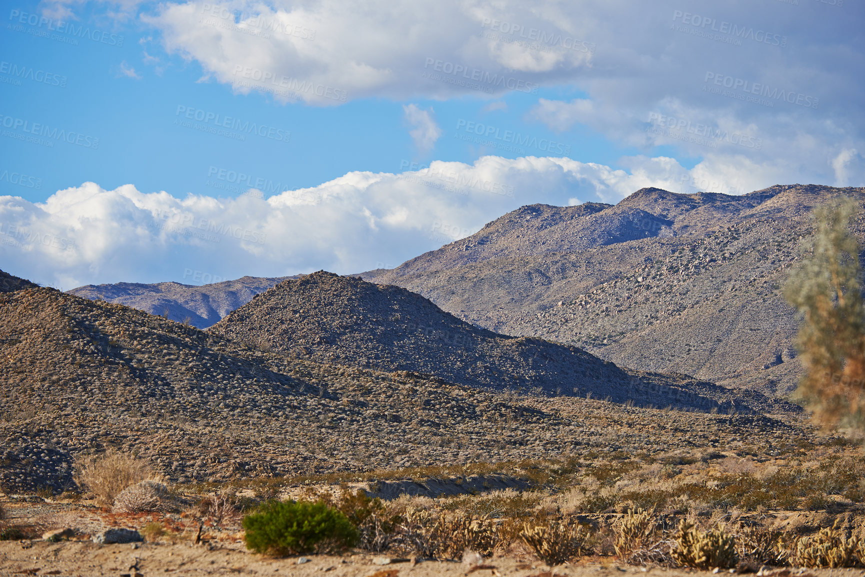 Buy stock photo Desert, landscape and nature with mountain, sunshine and clouds with summer, weather and rocky. Empty, flowers and wildlife with dust, field and plants with cactus, tourism and travel with adventure