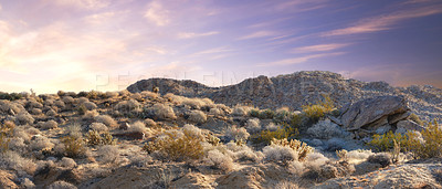 Buy stock photo California, desert and land with panorama, environment and blue sky for travel or tourism. Nature, mountain and landscape for cactus, scenery and usa sunshine with summer weather and outdoor harmony