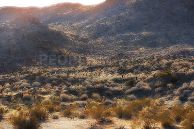 Buy stock photo Anza-Borrego Desert State Park, Southern California, USA