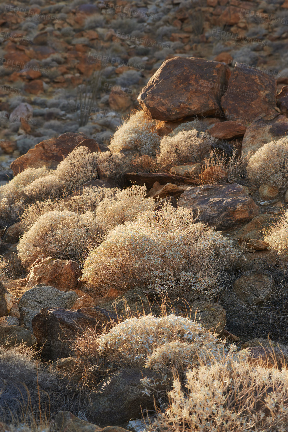 Buy stock photo Anza-Borrego Desert State Park, Southern California, USA