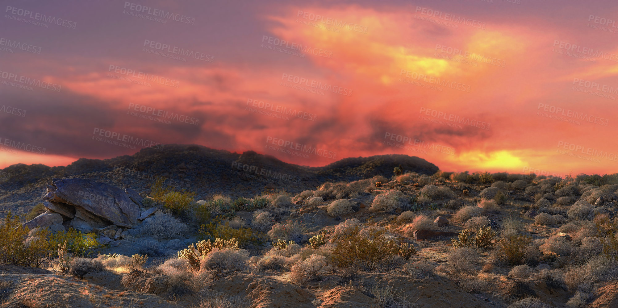 Buy stock photo Sunset, nature and mountain with plants for travel, scenery and hiking trail in environment. Sustainable, agriculture and greenery on rocks in eco friendly and natural habitat in countryside.