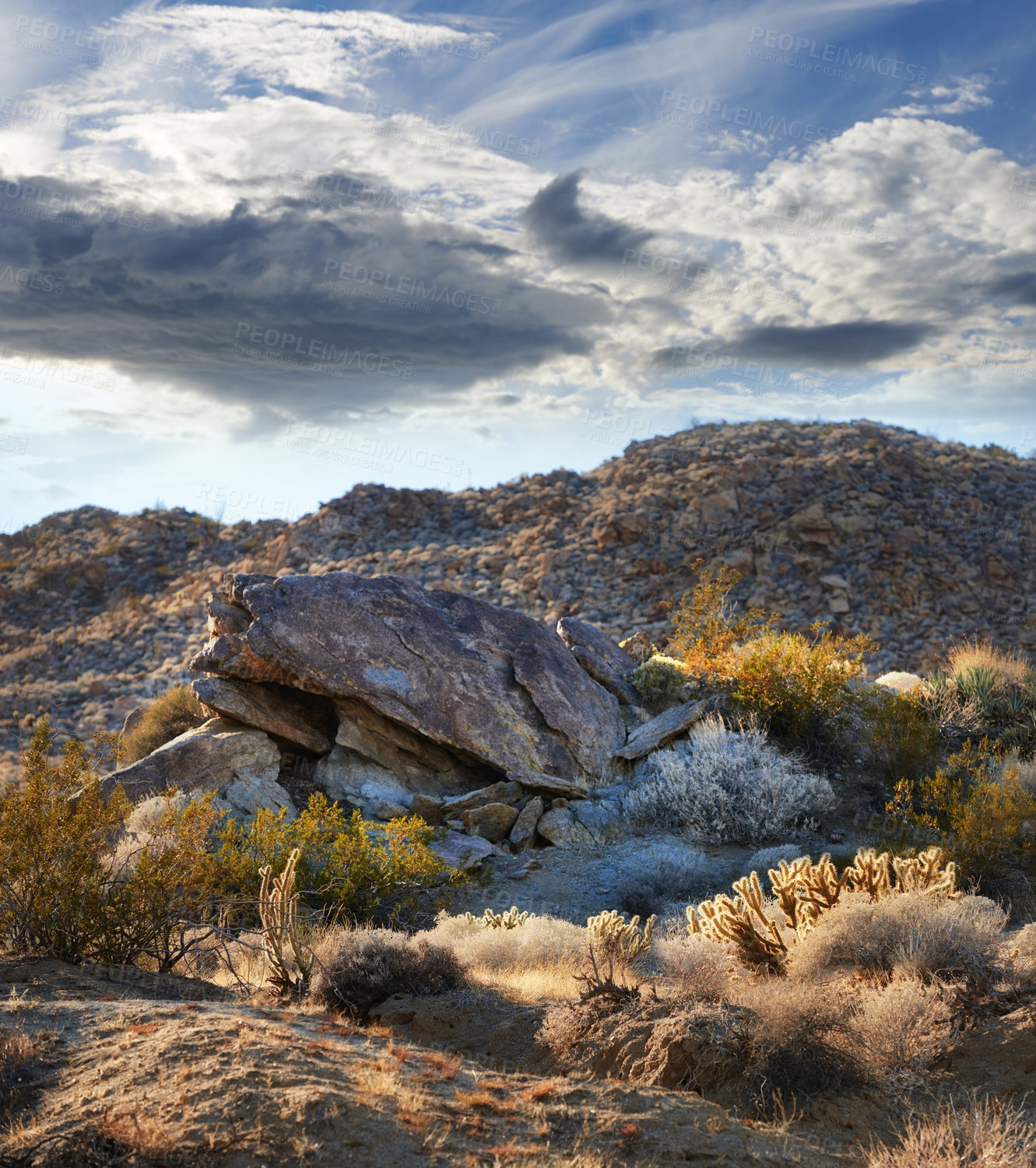 Buy stock photo California, desert and landscape with view, enviroment and blue sky for travel or tourism. Nature, mountain and land for cactus, scenery and usa sunshine with summer weather and outdoor harmony