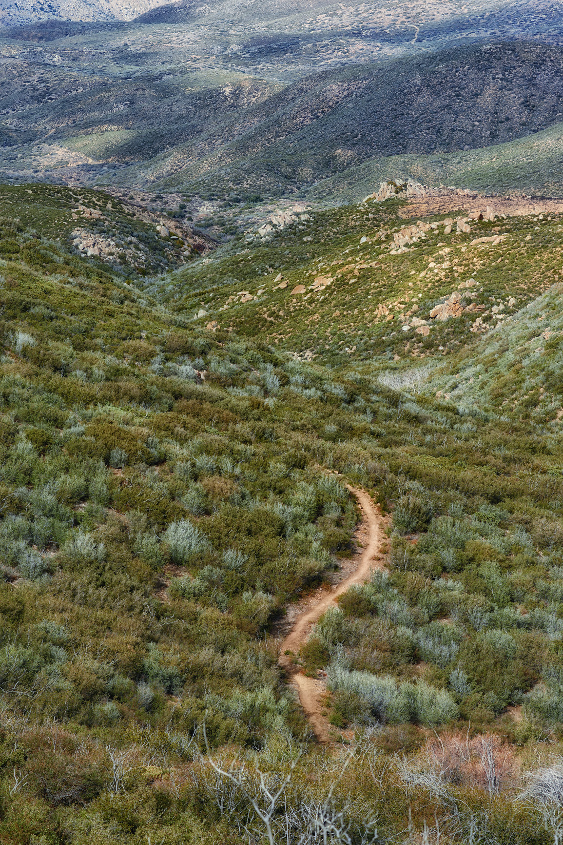 Buy stock photo Nature, desert and trail with foliage, enviroment and blue sky for travel or tourism. California, mountain and land for cactus, scenery and usa sunshine with summer weather and outdoor harmony