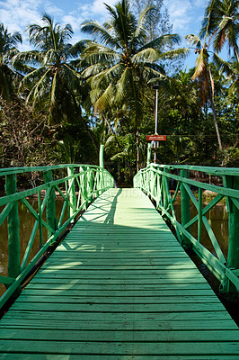 Buy stock photo Travel, bridge or path to palm tree forest with river, tourist destination or tropical environment in Thailand. Stream crossing, ecology or calm in nature for peaceful aesthetic, walkway or wallpaper