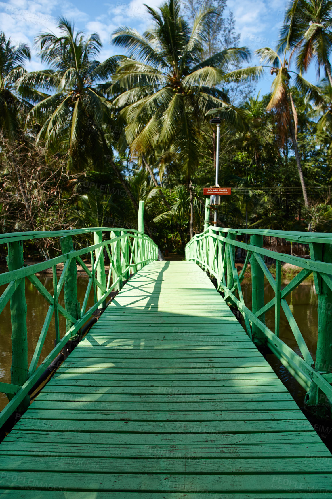 Buy stock photo Travel, bridge or path to palm tree forest with river, tourist destination or tropical environment in Thailand. Stream crossing, ecology or calm in nature for peaceful aesthetic, walkway or wallpaper