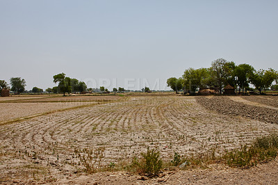 Buy stock photo Landscape of arid and barren farmland in rural India with copyspace. Dry, empty, vacant land in remote agriculture estate. Countryside and pasture environment suffering from drought and bushfires