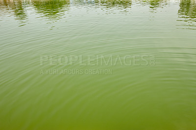 Buy stock photo Water, pool and holy for ritual outdoor of Indian tradition, culture travel and spiritual worship of cleanse. Green, lake and ancient history, heritage landmark and vacation tourism of faith location