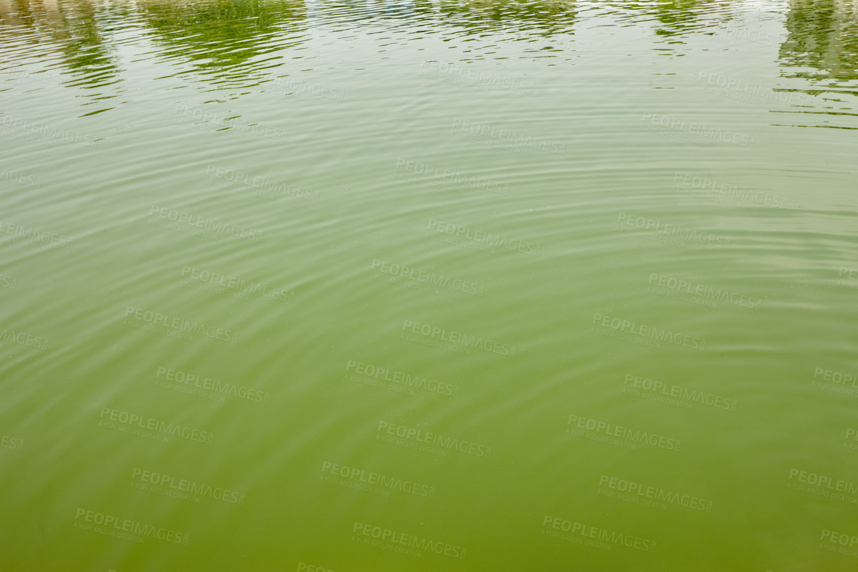 Buy stock photo Water, pool and holy for ritual outdoor of Indian tradition, culture travel and spiritual worship of cleanse. Green, lake and ancient history, heritage landmark and vacation tourism of faith location