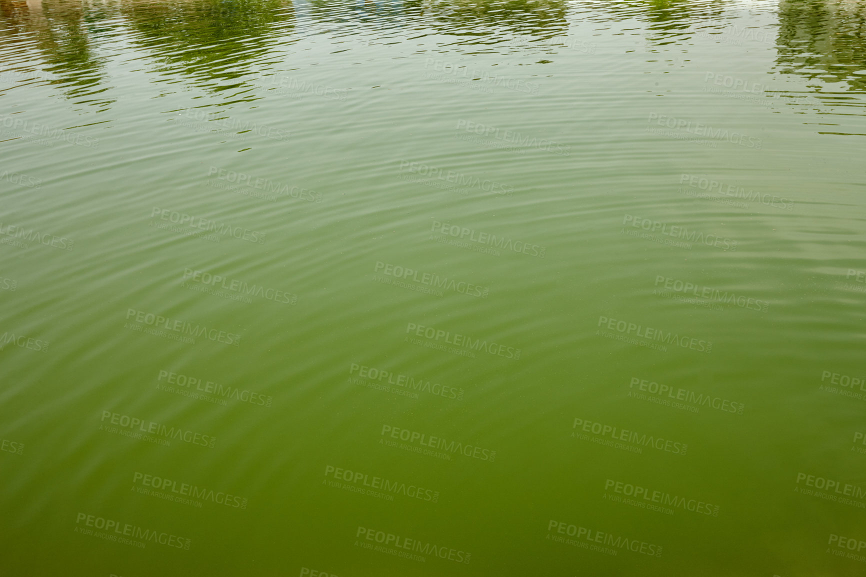 Buy stock photo Ritual, pool and holy with water for sacred, spiritual cleansing and mythology for tradition belief. India, harmony and green liquid by above for culture, religion and river for purification outdoor