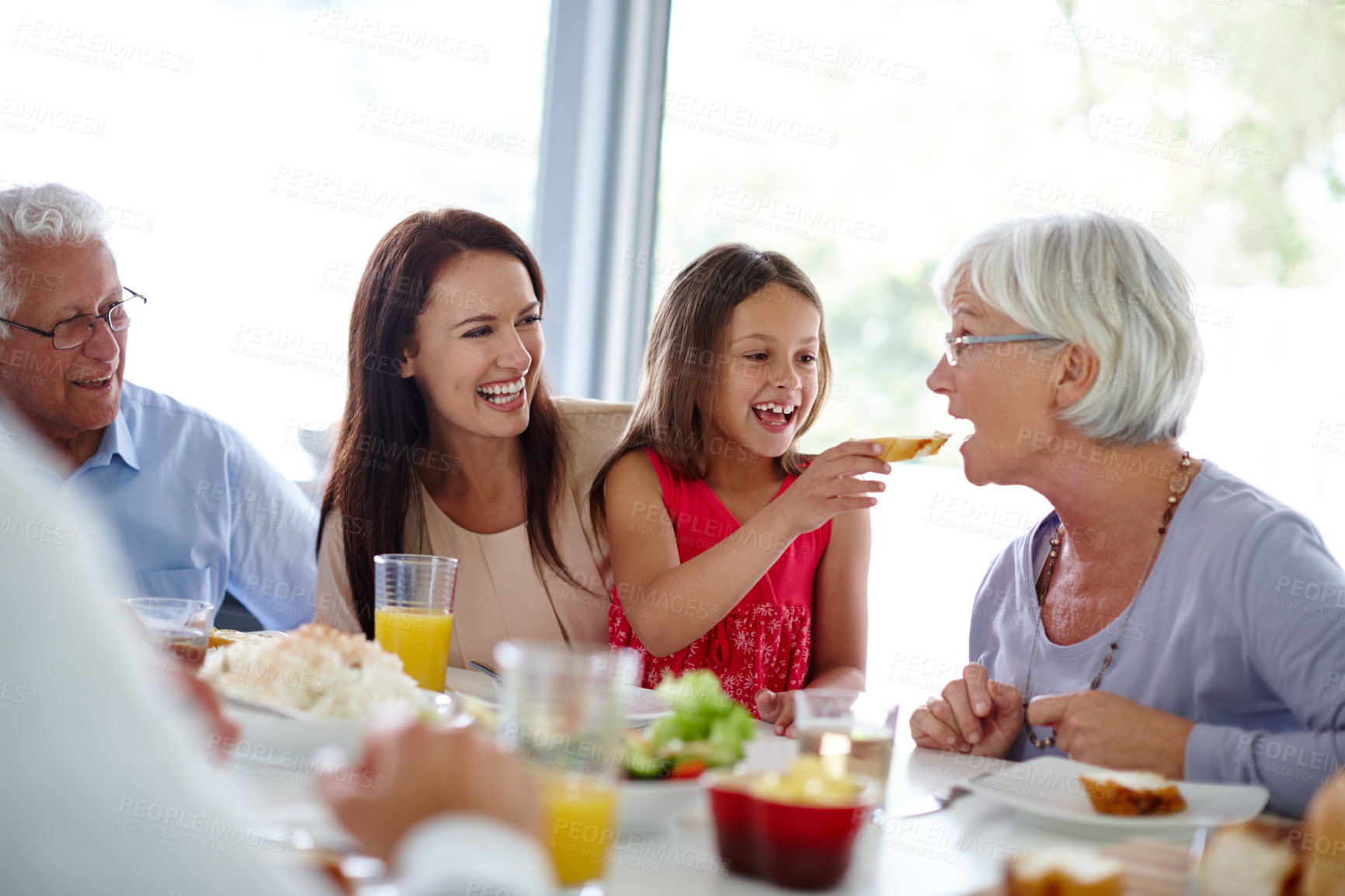 Buy stock photo Shot of a happy multi-generational family having a meal together