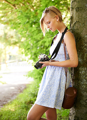 Buy stock photo Memory, nature and photographer with woman in forest for relax, park and travel photography. Summer, trees and adventure with female person with camera for vacation, holiday and environmental tourism