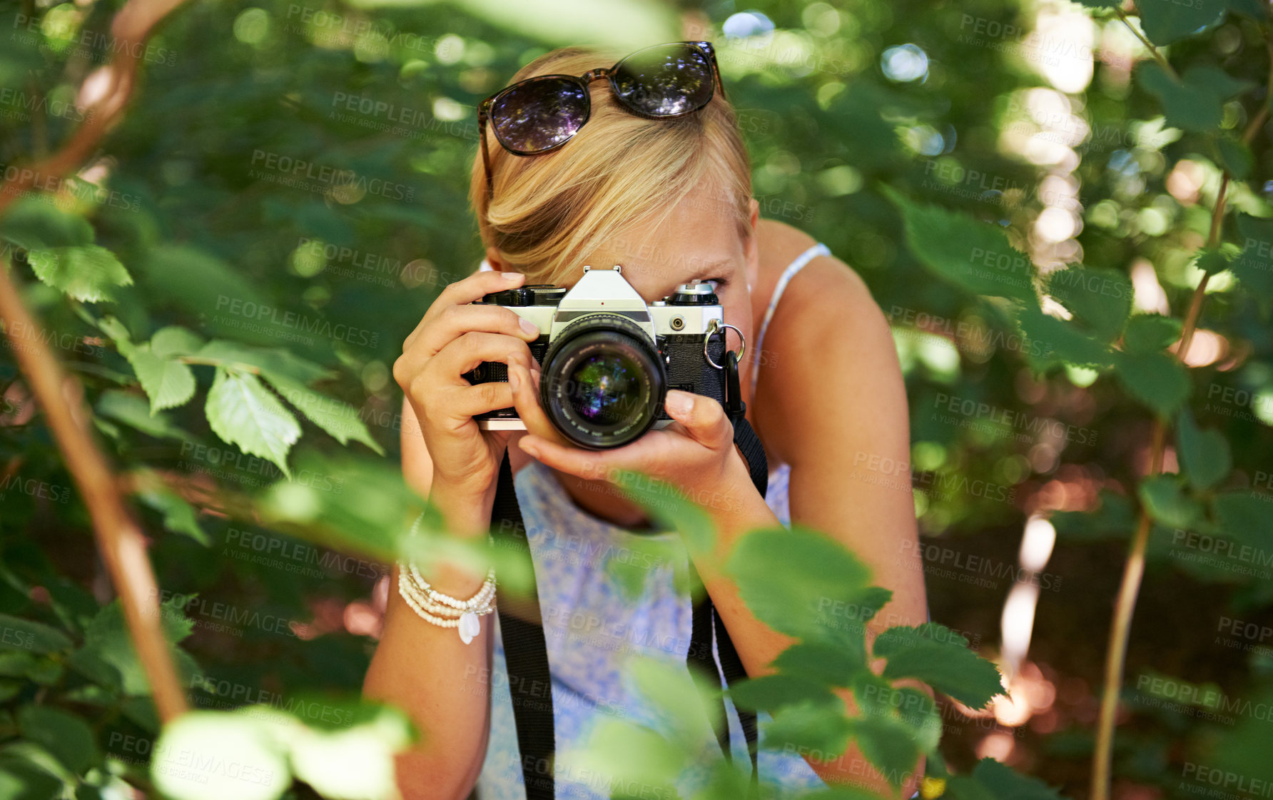 Buy stock photo Camera lens, shooting and photographer with woman in forest for relax, memory and travel photography. Summer, trees and adventure with person in nature for vacation, holiday and environmental tourism