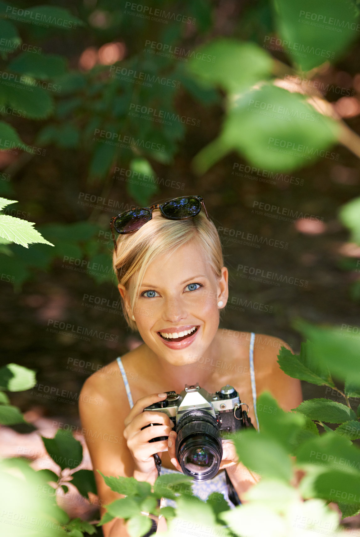 Buy stock photo Portrait, park and photographer with woman in forest for relax, memory and travel photography. Summer, trees and adventure with female person and camera for vacation, holiday or environmental tourism