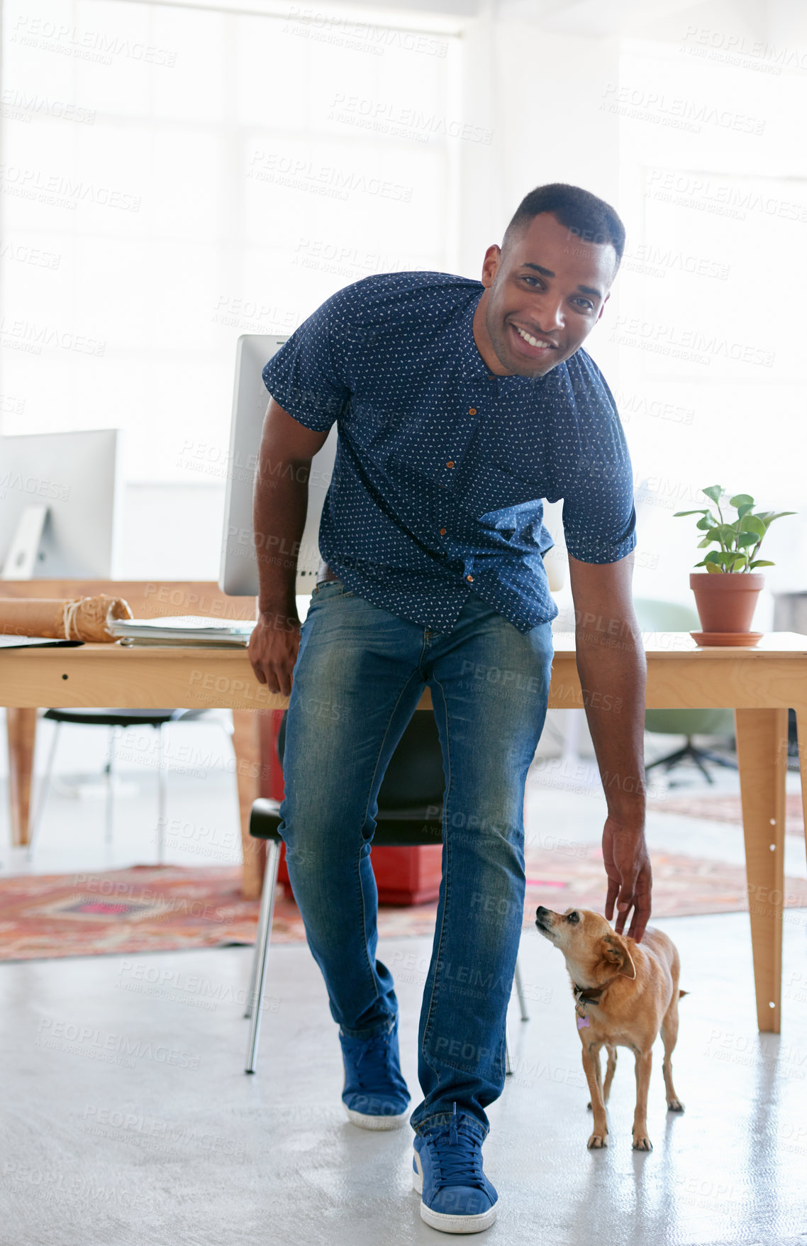 Buy stock photo African man, puppy and smile in office for research and planning for business ideas and creativity. Intern or trainee at company or organization for unwind with pet to relax and destress after work 