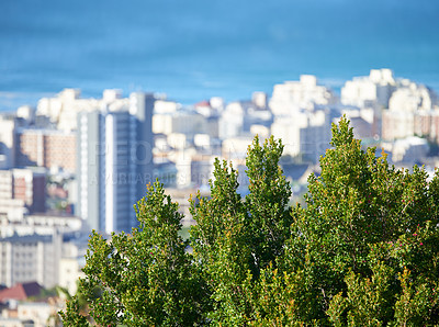 Buy stock photo Tree, buildings and outdoor view of city in summer for holiday or vacation with sunshine and urban landscape. Skyscrapers, Miami skyline and country for travel or tour, cityscape and nature in town.