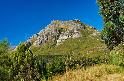 Buy stock photo Blue sky, trees and mountain at countryside for sustainability, environment and summer growth. Plants, nature and hill with grass in daylight for green earth, eco friendly and sunshine in Canada