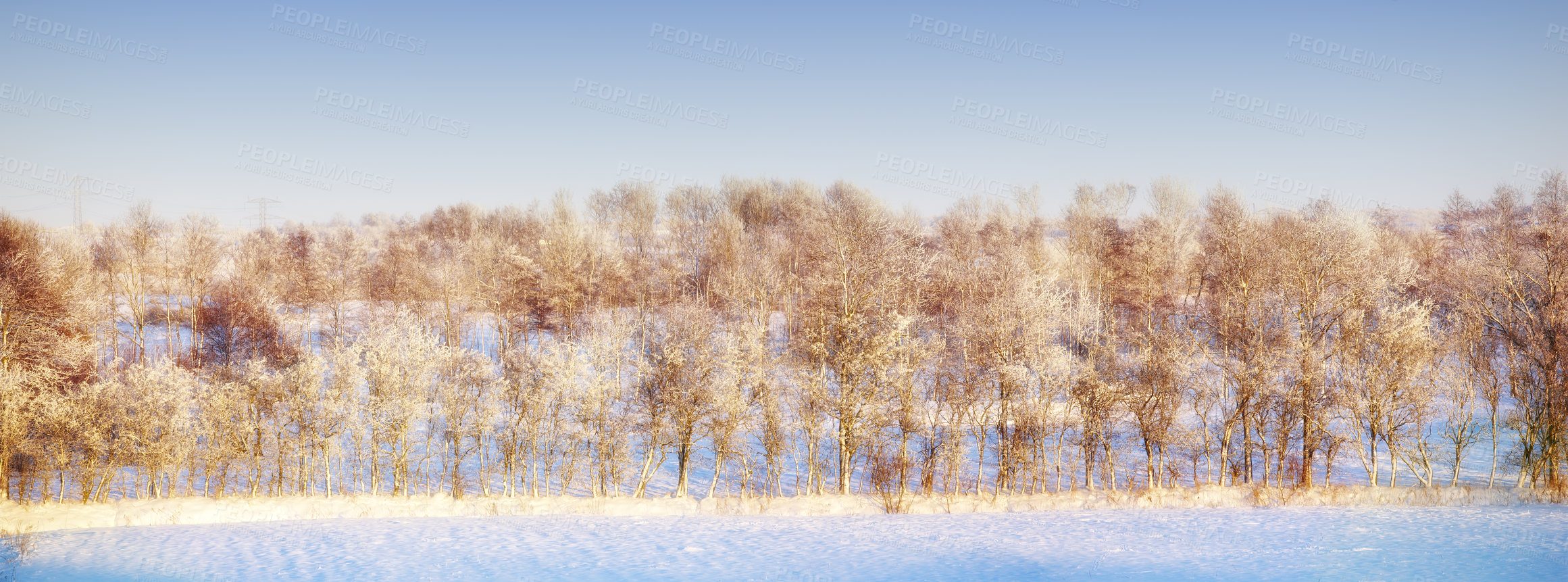 Buy stock photo A photo of a winter trees  at sunset