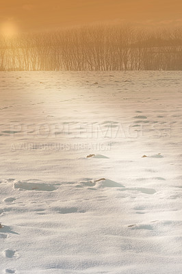 Buy stock photo Snow, field and sunrise with scenic, winter and landscape for Denmark nature background. Environment, sunshine and rural chill for christmas holiday, tranquil frost and peaceful ice oak with serenity