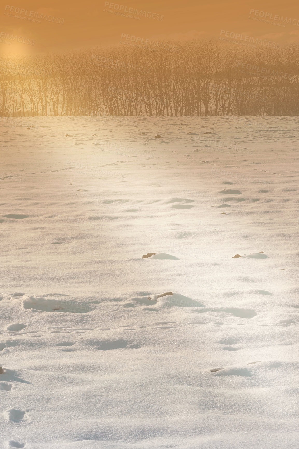 Buy stock photo Snow, field and sunrise with scenic, winter and landscape for Denmark nature background. Environment, sunshine and rural chill for christmas holiday, tranquil frost and peaceful ice oak with serenity