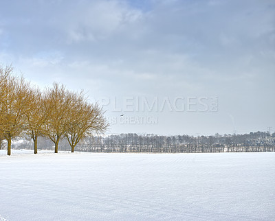 Buy stock photo Nature, snow and trees in landscape, outdoor and clouds in sky of environment, calm and space in forest. Morning, woods and winter in Canada, branches and texture of plants, earth and ice on land