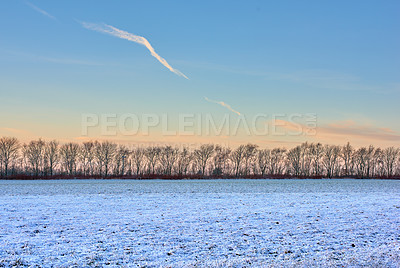 Buy stock photo Nature, snow and trees in landscape, freedom and clouds in sky of environment, calm and space in forest. Morning, woods and winter in Canada, branches and texture of plants, earth and ice outdoor