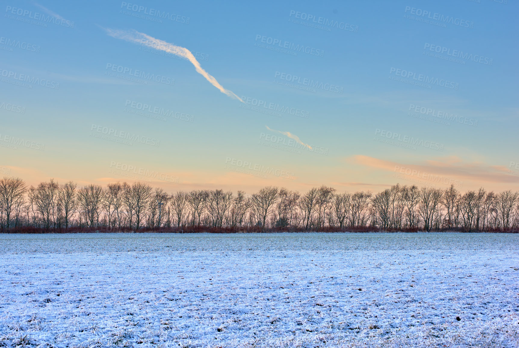 Buy stock photo Nature, snow and trees in landscape, freedom and clouds in sky of environment, calm and space in forest. Morning, woods and winter in Canada, branches and texture of plants, earth and ice outdoor