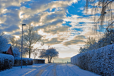 Buy stock photo Winter, town and trees with snow fall in landscape of United Kingdom in skyline in nature, harmony or peace. Holiday, trip and travel for vacation as wallpaper, background or texture for postcard