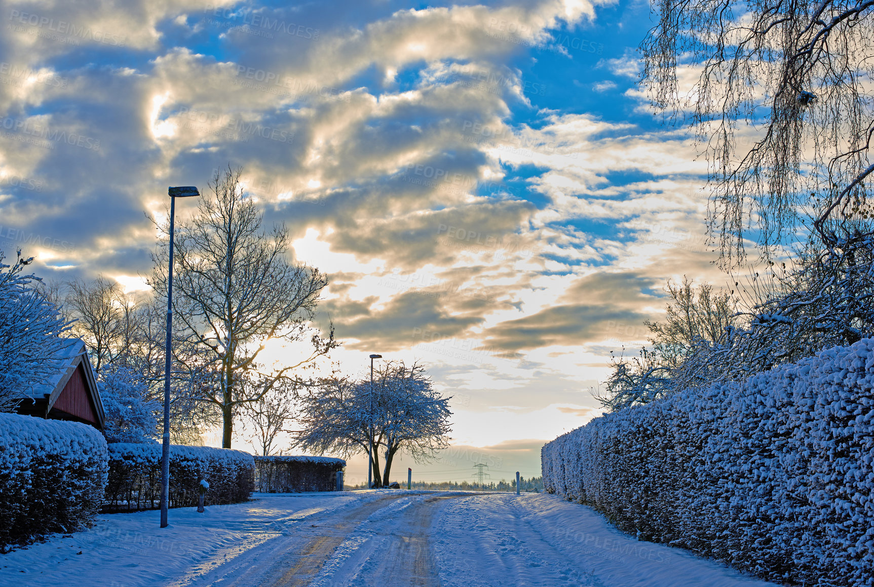 Buy stock photo Winter, town and trees with snow fall in landscape of United Kingdom in skyline in nature, harmony or peace. Holiday, trip and travel for vacation as wallpaper, background or texture for postcard