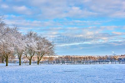 Buy stock photo Wallpaper, trees and field with snow in winter, cold weather and Christmas season in Germany. Countryside, freezing and nature with climate change in forest with ice for travel, trip and holiday