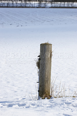 Buy stock photo Snow, post and landscape with scenic, winter or wallpaper for Denmark nature background. Environment, blue sky and rural chill for christmas holiday, tranquil frost and peaceful ice oak for serenity