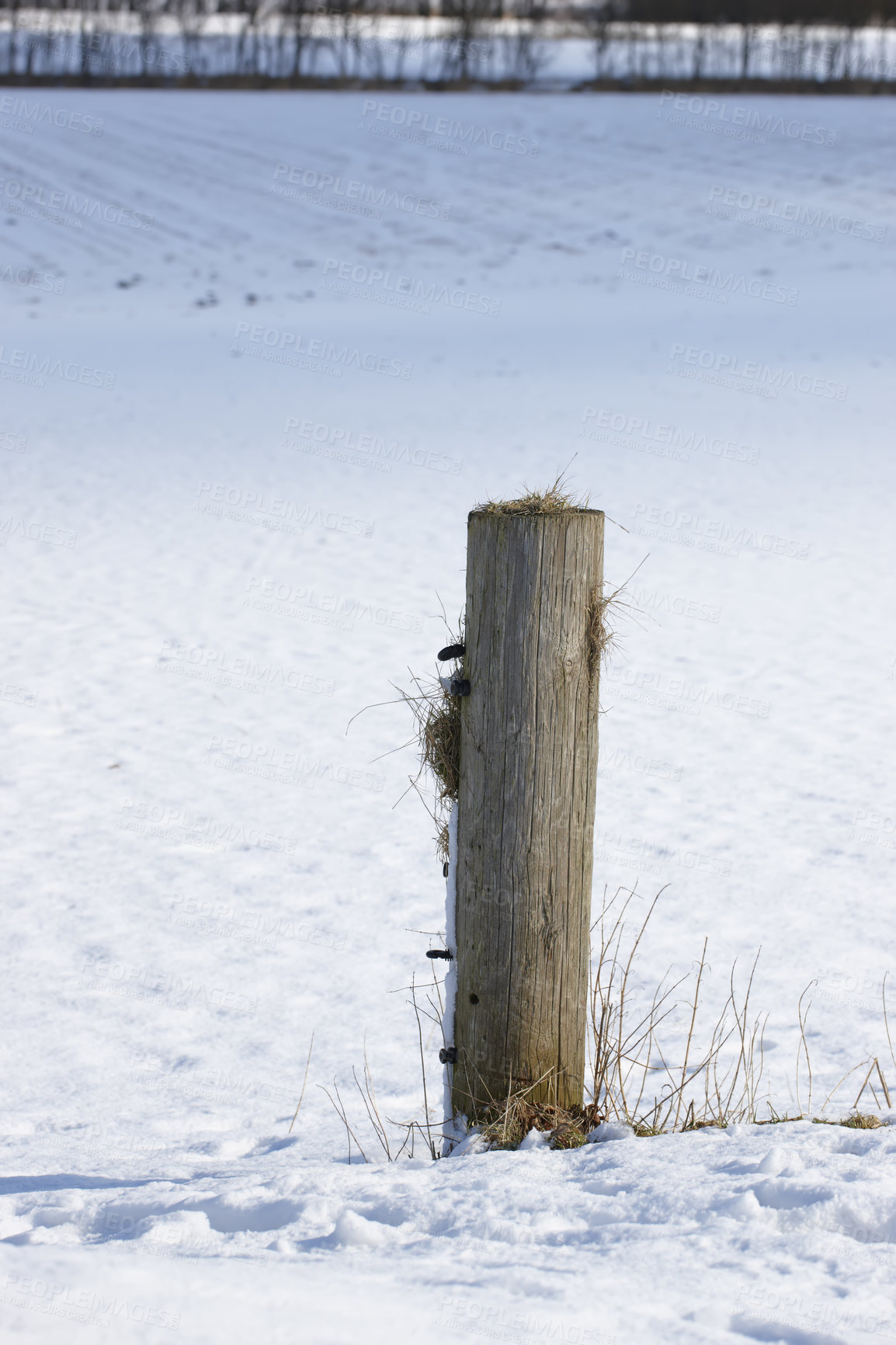 Buy stock photo Snow, post and landscape with scenic, winter or wallpaper for Denmark nature background. Environment, blue sky and rural chill for christmas holiday, tranquil frost and peaceful ice oak for serenity