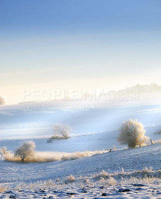 Buy stock photo Snow, field and landscape with scenic, winter or wallpaper for Denmark nature background. Environment, blue sky and rural chill for christmas holiday, tranquil frost and peaceful ice oak for serenity