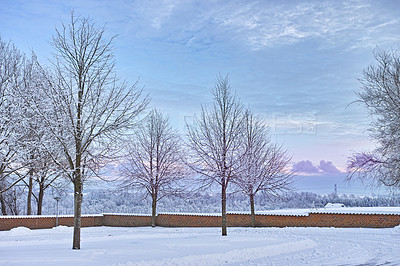 Buy stock photo Winter, trees and snow outdoor on road, countryside or landscape with sky clouds in Sweden. Environment, forest or field in woods with ice in nature for travel, holiday or vacation as background