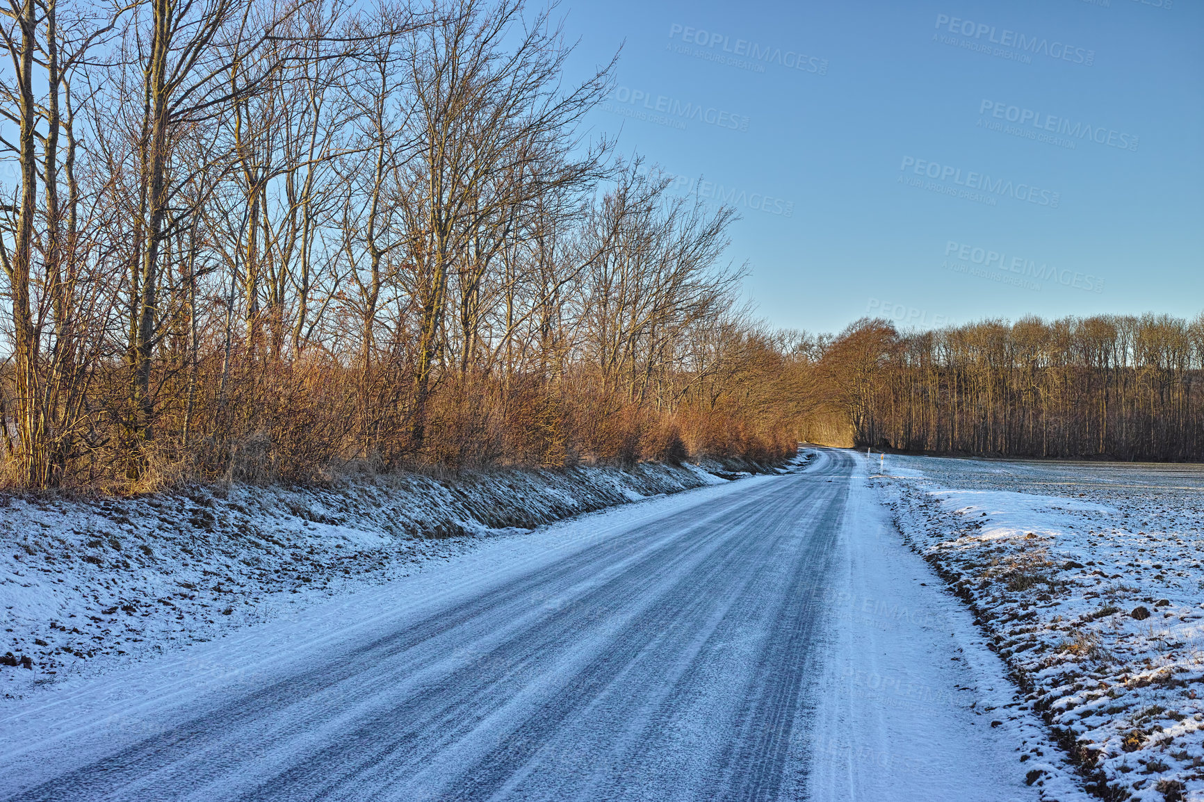 Buy stock photo Wallpaper, trees and road with snow in woods on winter, cold weather and Christmas season in Germany. Countryside, freezing and nature with climate change in woods with ice for travel and holiday