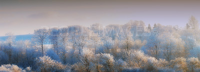 Buy stock photo Snow, pines and panorama with scenic, winter or wallpaper for Denmark nature background. Environment, blue sky and rural chill for forest holiday, tranquil frost and peaceful ice oak for serenity