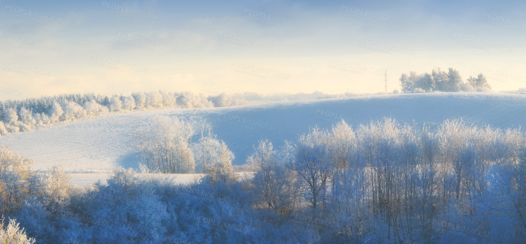 Buy stock photo Nature, snow and trees in landscape, environment and clouds in sky outdoor, calm and space in forest. Morning, woods and winter in Canada, branches and texture of plants, earth and weather of ice