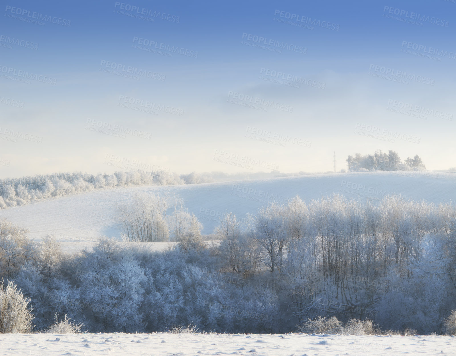 Buy stock photo Nature, snow and trees in landscape, morning and clouds in sky outdoor, calm and space in forest. Environment, woods and winter in Canada, branches and texture of plants, earth and weather of ice