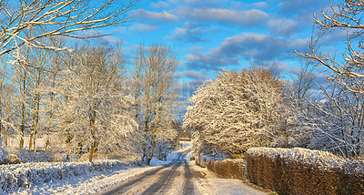 Buy stock photo A photo of a road in winter landscape