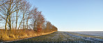 Winter time in nature