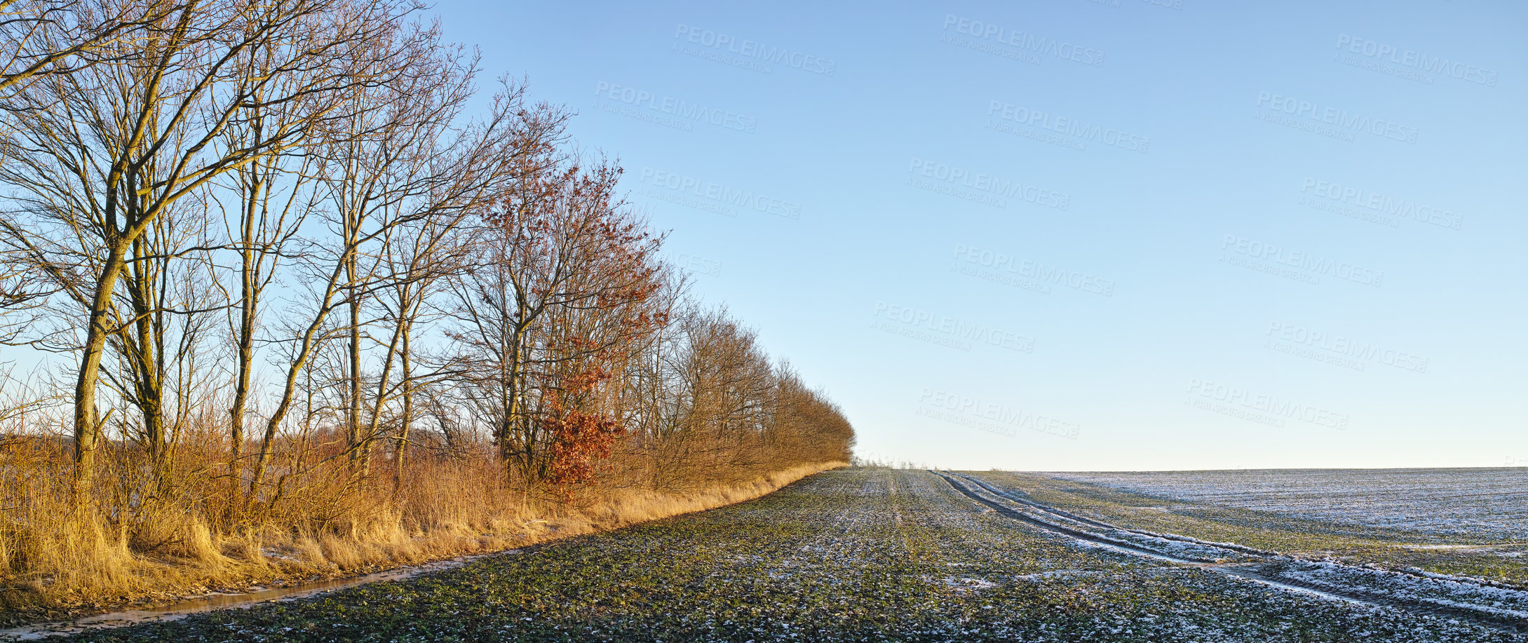 Buy stock photo Landscape, sunshine and woods by field for winter season with nature wallpaper background and Christmas holiday. Countryside, forest and frozen environment with snow for peace and vacation in Germany