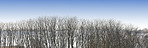 Winter time in nature