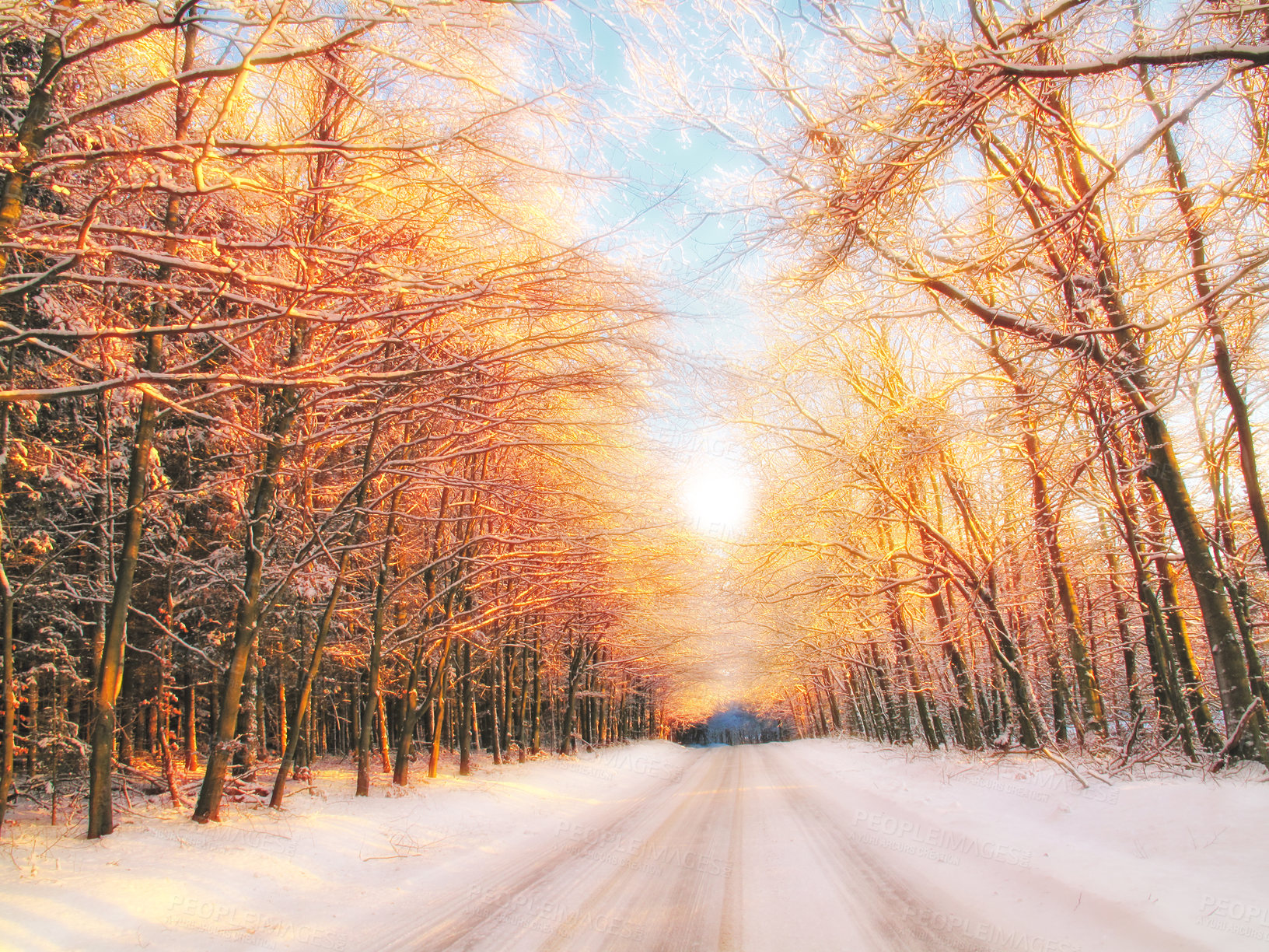 Buy stock photo A photo of a winter trees  at sunset