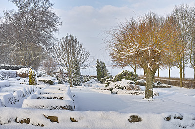 Buy stock photo Frosted cemetery and frozen trees in winter fall. Foggy snowy cemetery, grave stones and trees covered in the winter snow. Landscape of a graveyard covered with snow on a wintery day in Denmark.