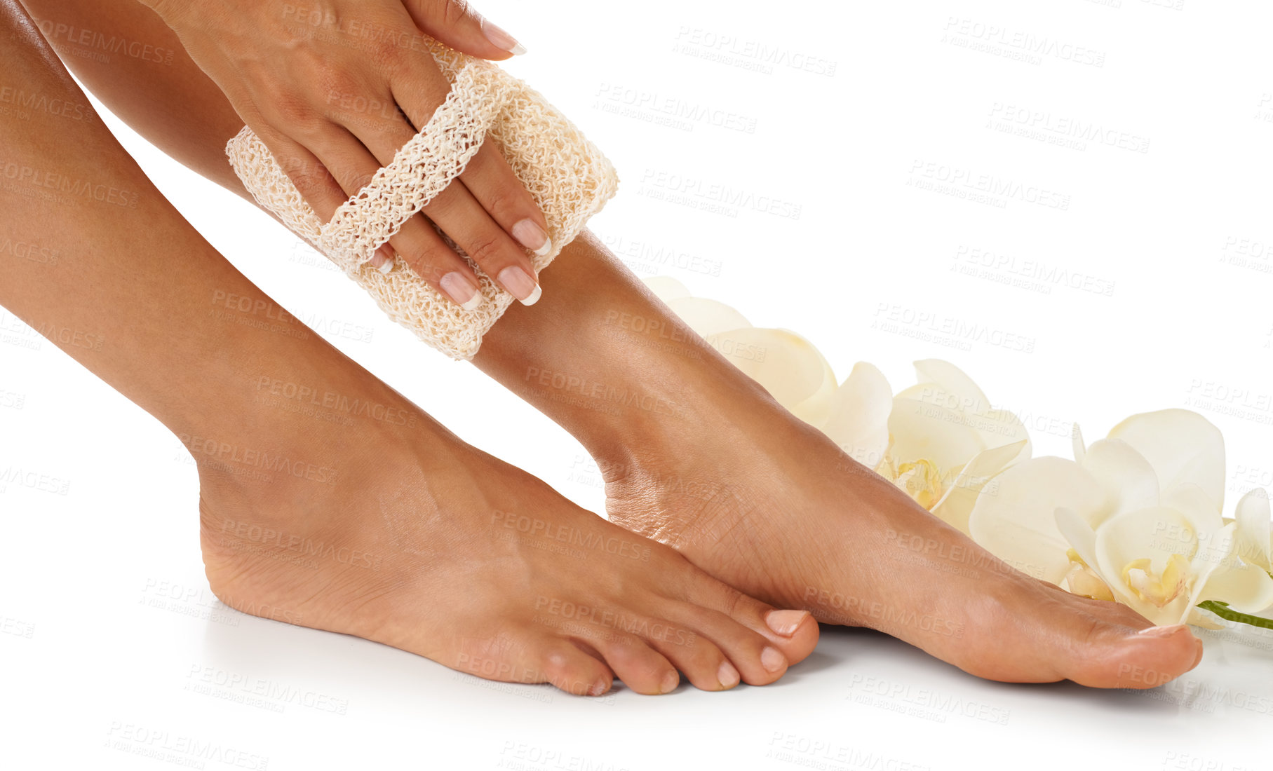 Buy stock photo Scrub, pedicure and woman feet in studio for spa, luxury and skincare with floral product advertising. Skin care, beauty and natural flowers for cosmetics foot isolated on white background marketing